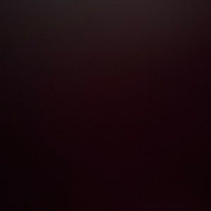 Brighton Nanette Sand Leather Purse  NWOT